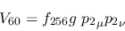 \begin{eqnarray*}
&V_{60}=f_{256}g~{p_2}_\mu {p_2}_\nu
\end{eqnarray*}